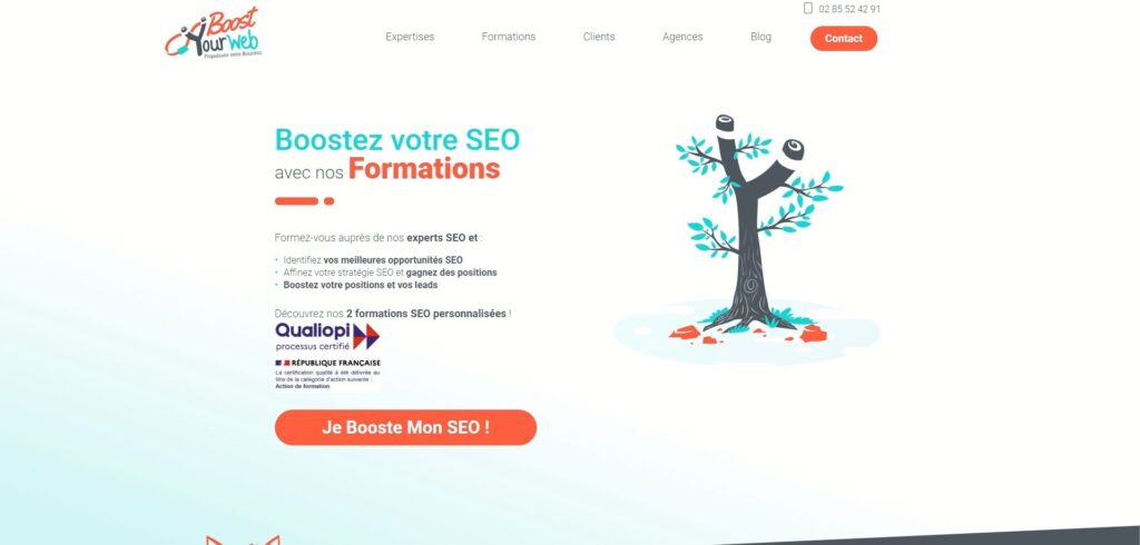 formation seo opco boost your web