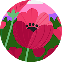 Claire Doyen Claire Doyen